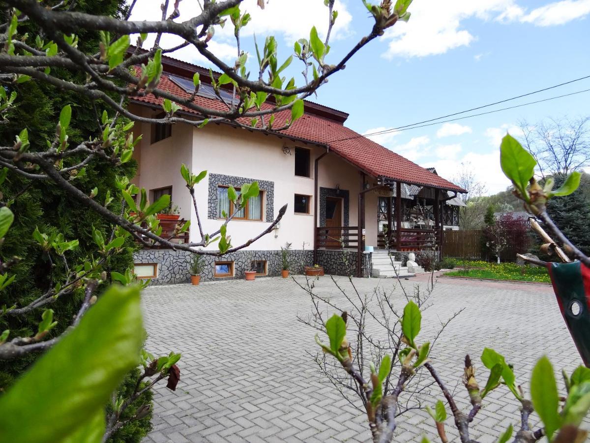 Arnota Villa Costesti  Exterior photo