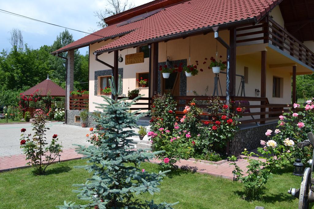 Arnota Villa Costesti  Exterior photo