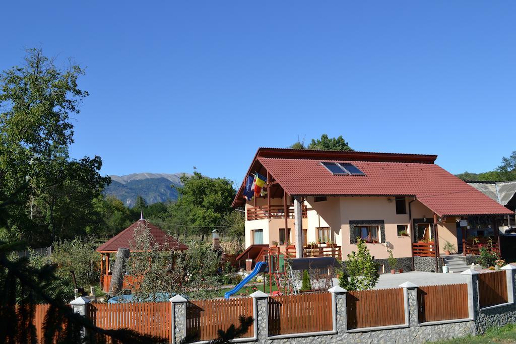 Arnota Villa Costesti  Exterior photo